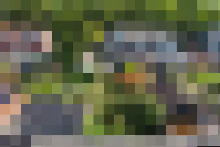 Haardstedelaan 19 a Huizen thumbnail 52