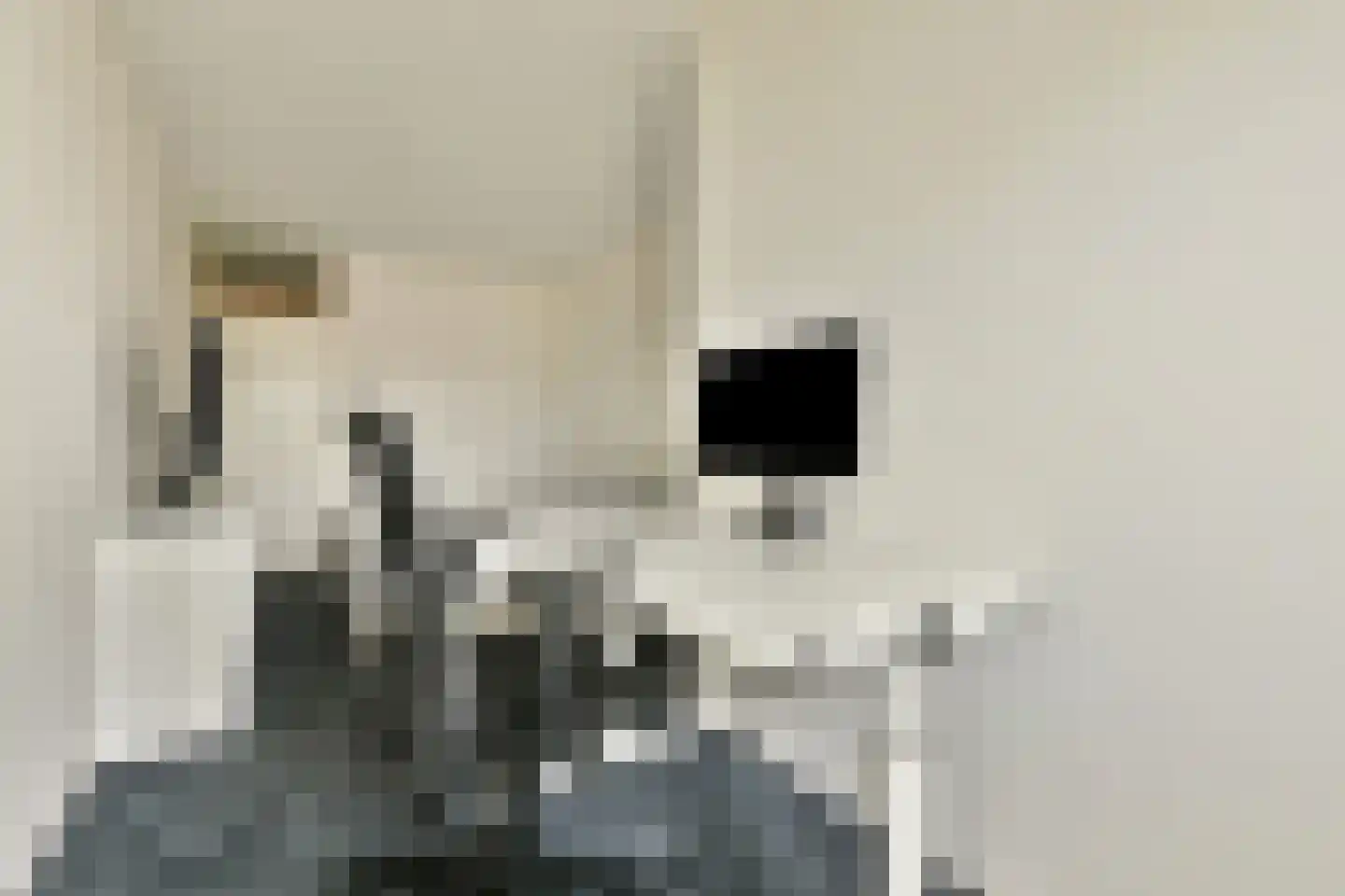 Haardstee 119 Amsterdam thumbnail 10