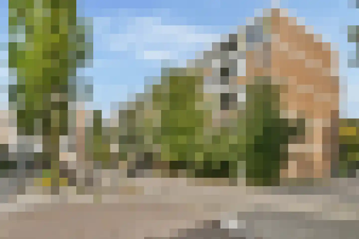Haardstee 119 Amsterdam thumbnail 19