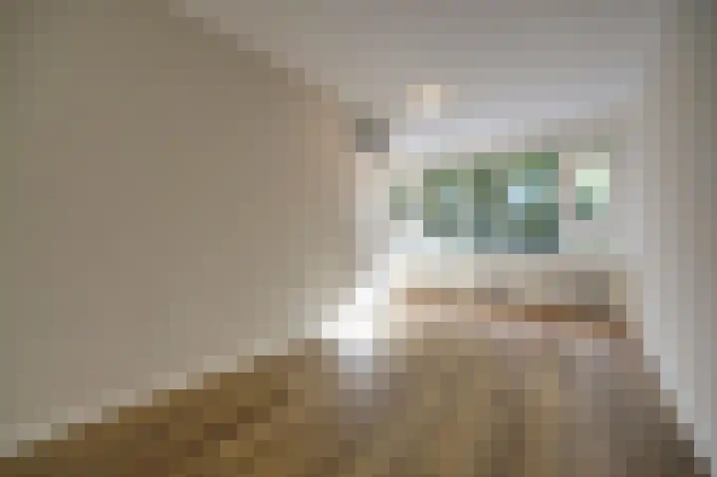 Haardstee 185 Amsterdam thumbnail 14