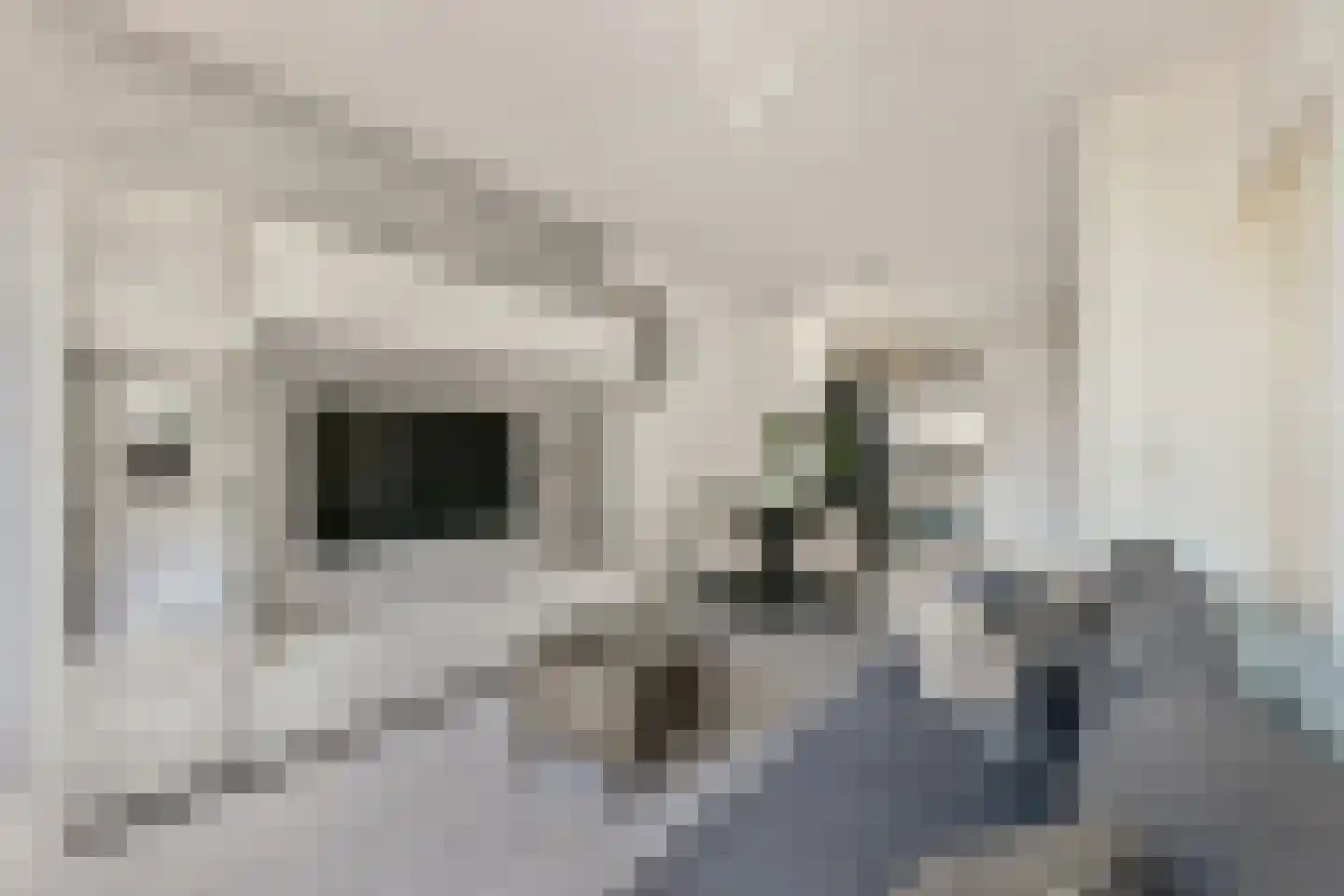 Haardstee 206 Amsterdam thumbnail 13