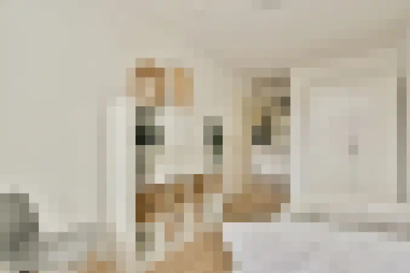 Haardstee 211 Amsterdam thumbnail 11