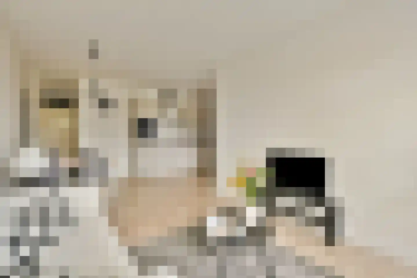 Haardstee 211 Amsterdam thumbnail 5