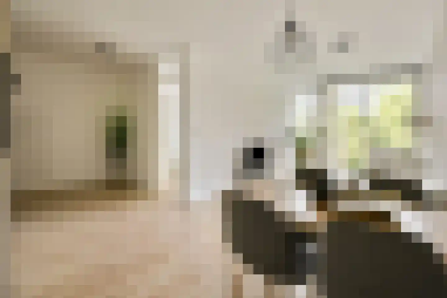Haardstee 211 Amsterdam thumbnail 9