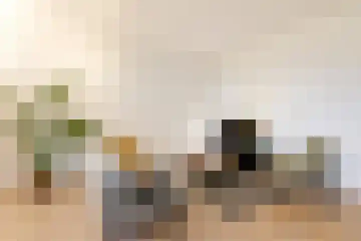 Haardstee 220 Amsterdam thumbnail 10