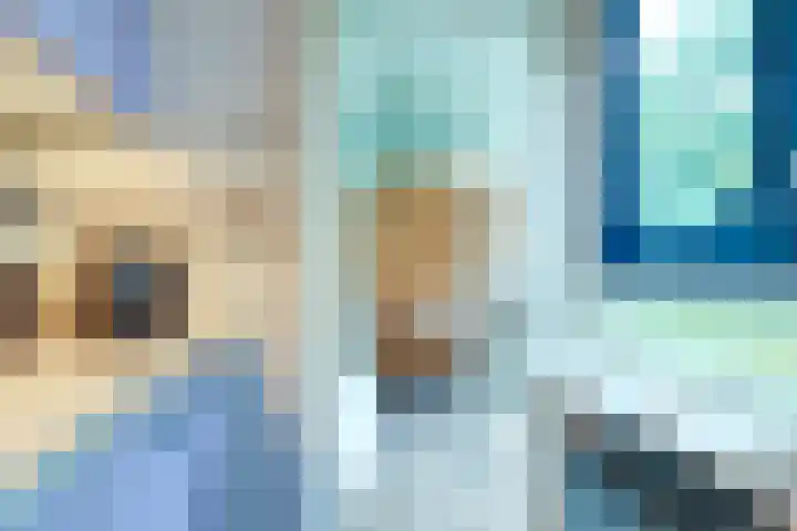 Haardstee 220 Amsterdam thumbnail 19