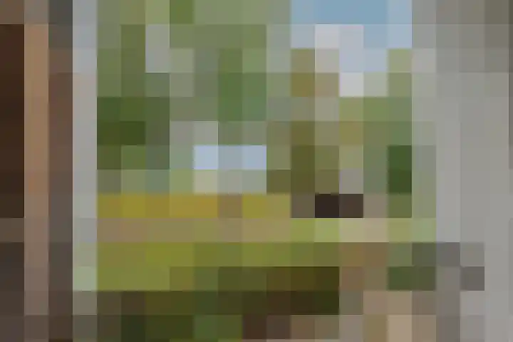 Haardstee 220 Amsterdam thumbnail 20