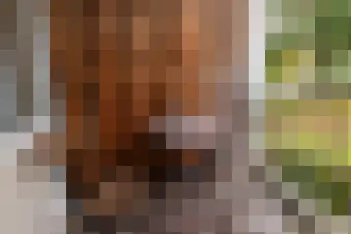 Haardstee 220 Amsterdam thumbnail 21