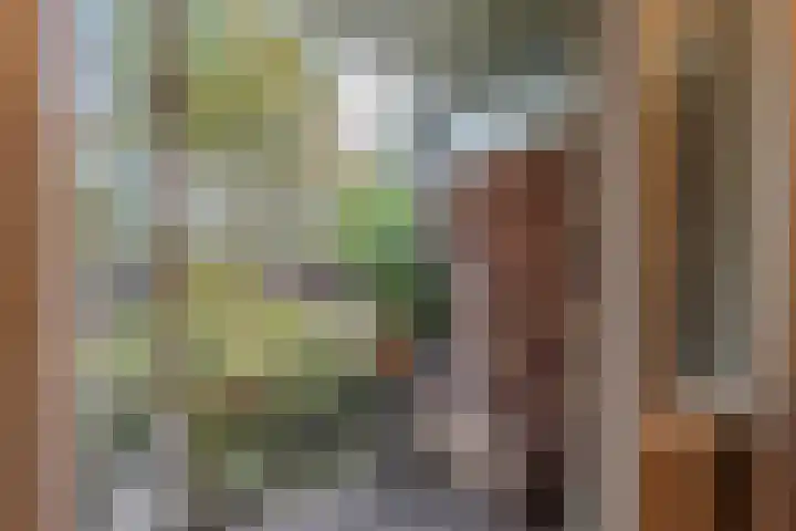 Haardstee 220 Amsterdam thumbnail 24