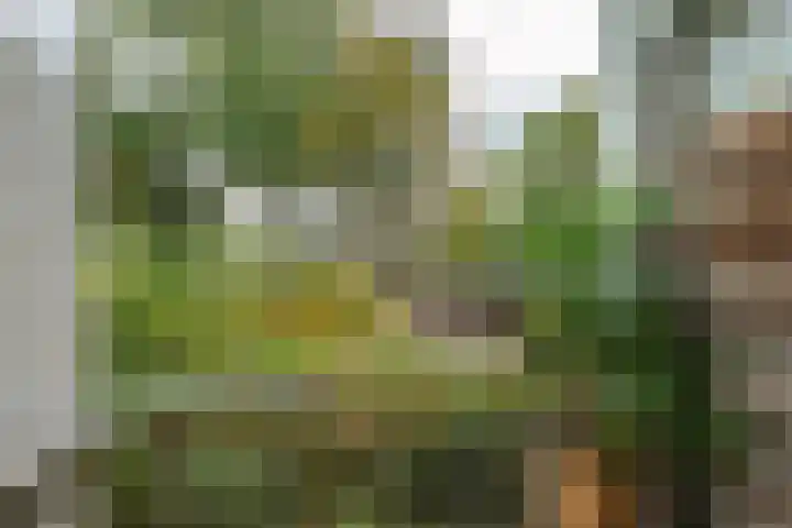 Haardstee 220 Amsterdam thumbnail 25