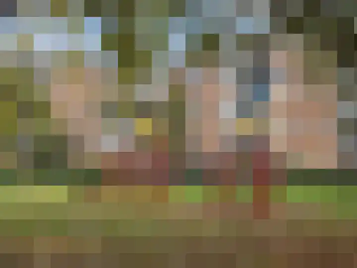 Haardstee 220 Amsterdam thumbnail 34