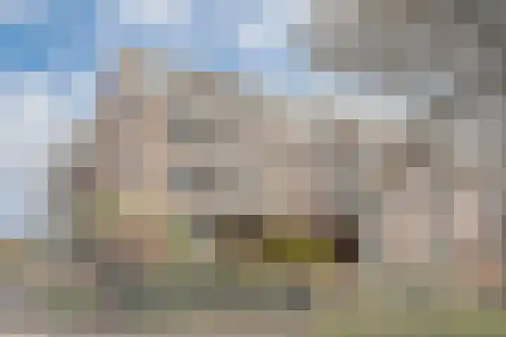 Haardstee 220 Amsterdam thumbnail 4