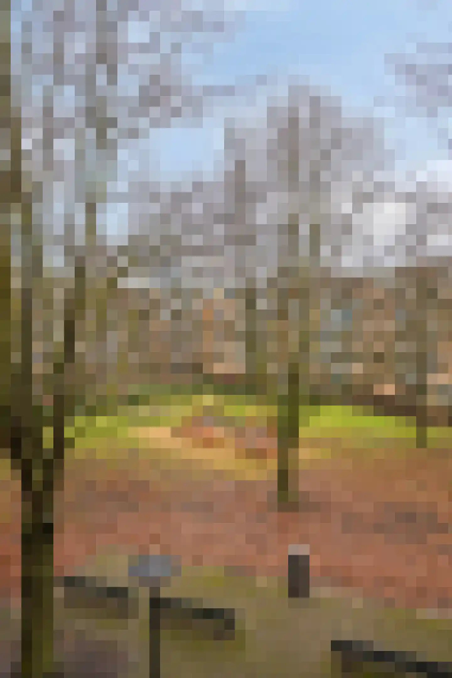 Haardstee 235 Amsterdam thumbnail 16