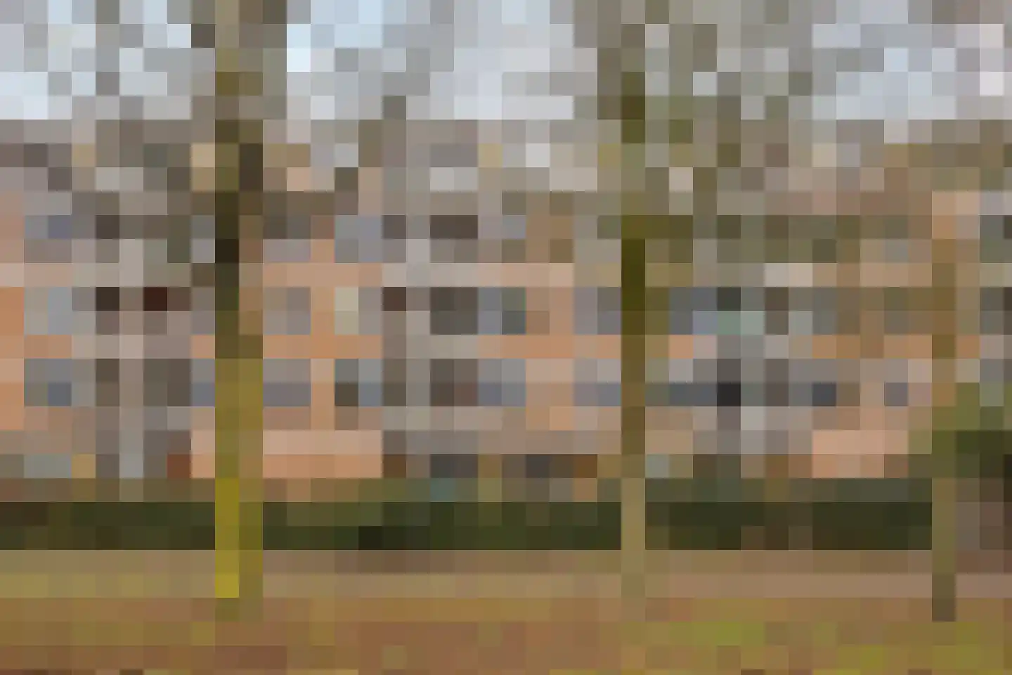 Haardstee 235 Amsterdam thumbnail 30