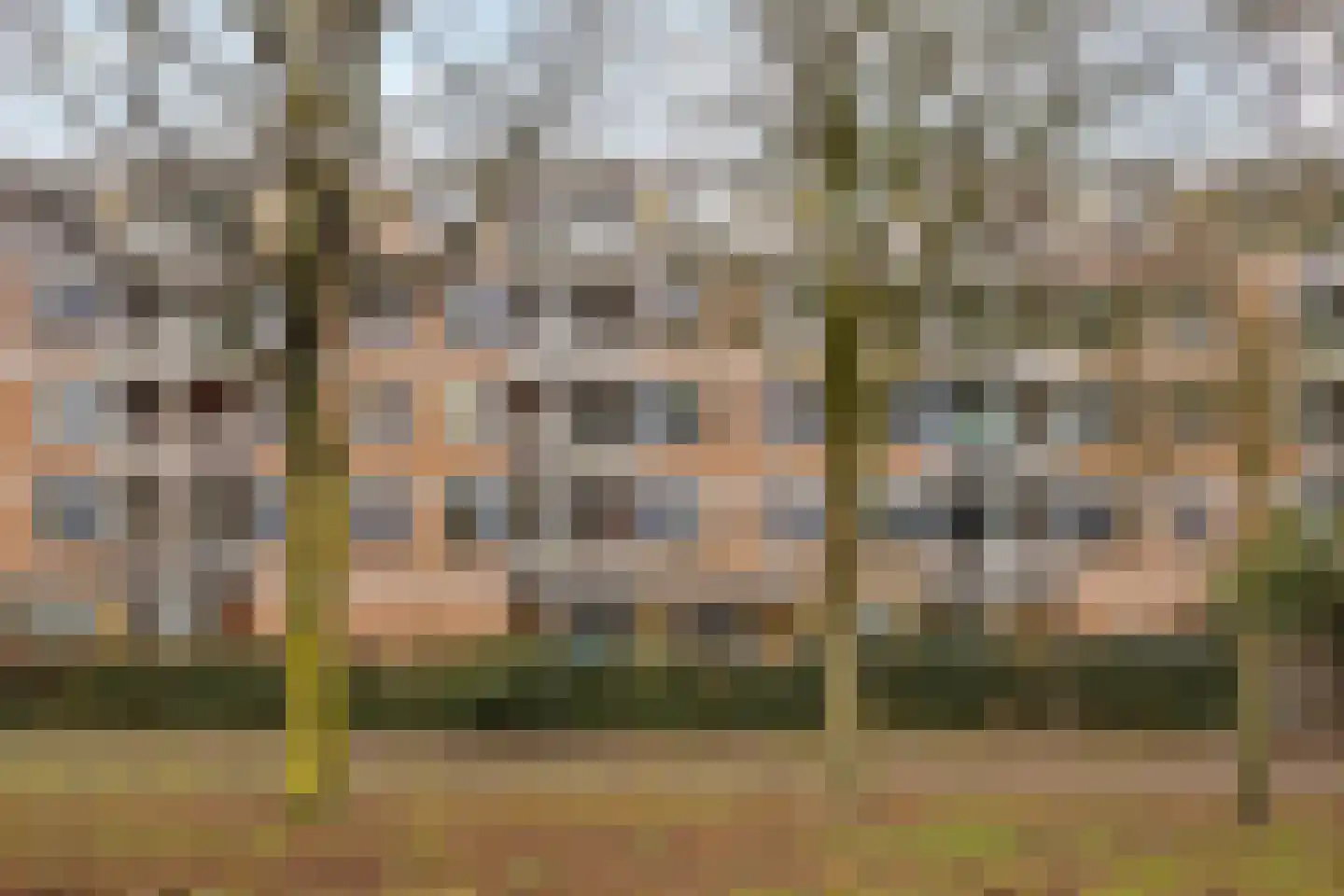 Haardstee 235 Amsterdam thumbnail 35