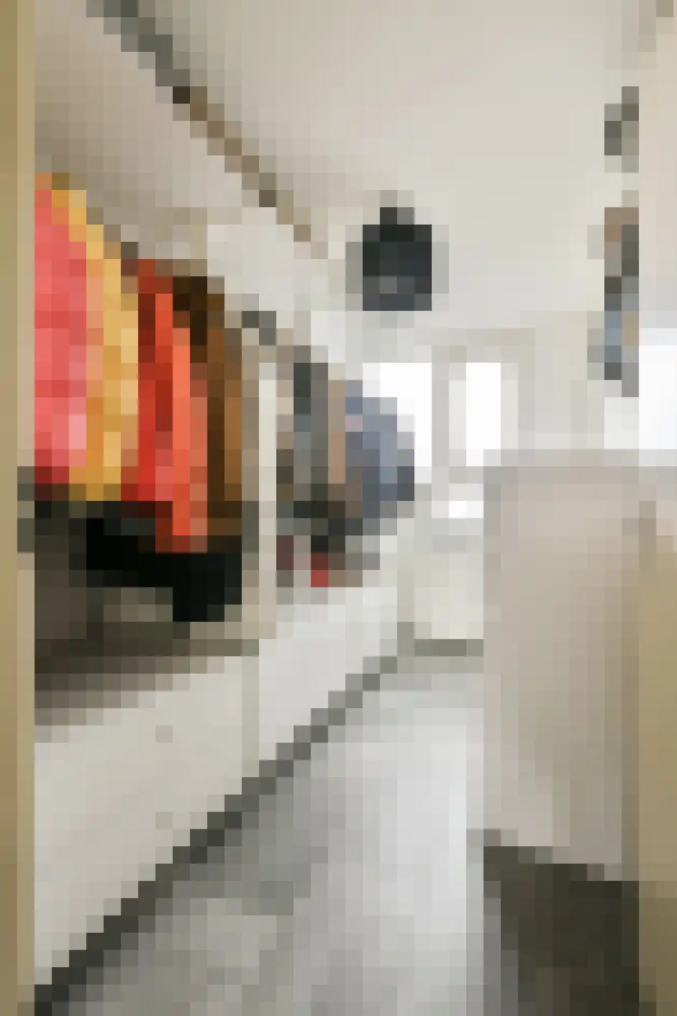 Haardstee 29 Amsterdam thumbnail 21