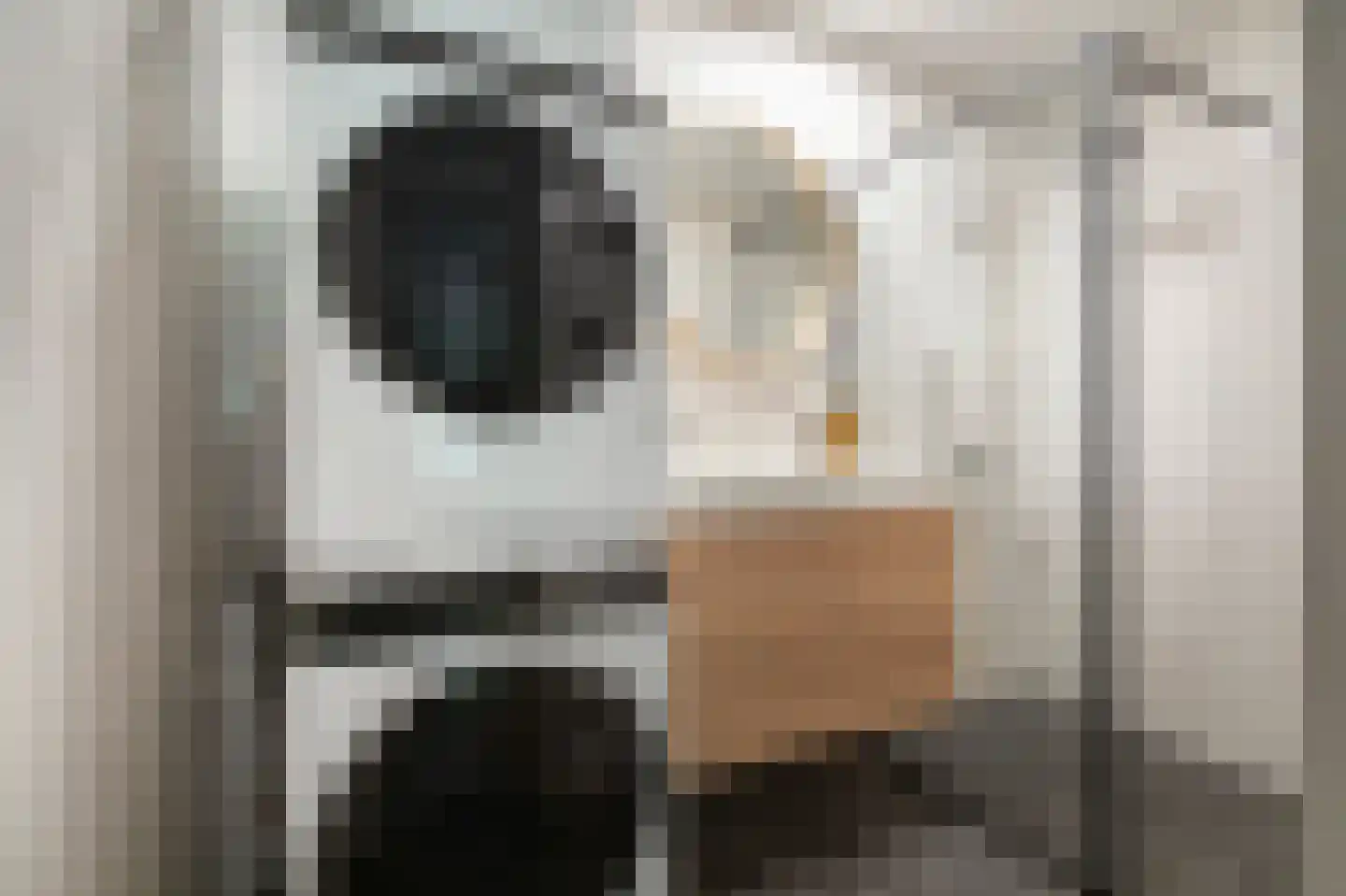 Haardstee 75 Amsterdam thumbnail 17