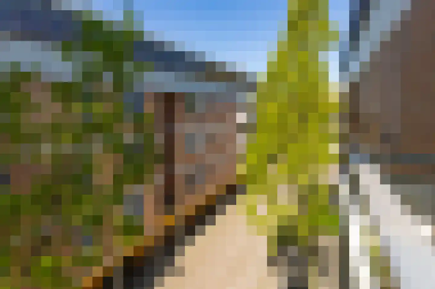 Haardstee 75 Amsterdam thumbnail 24