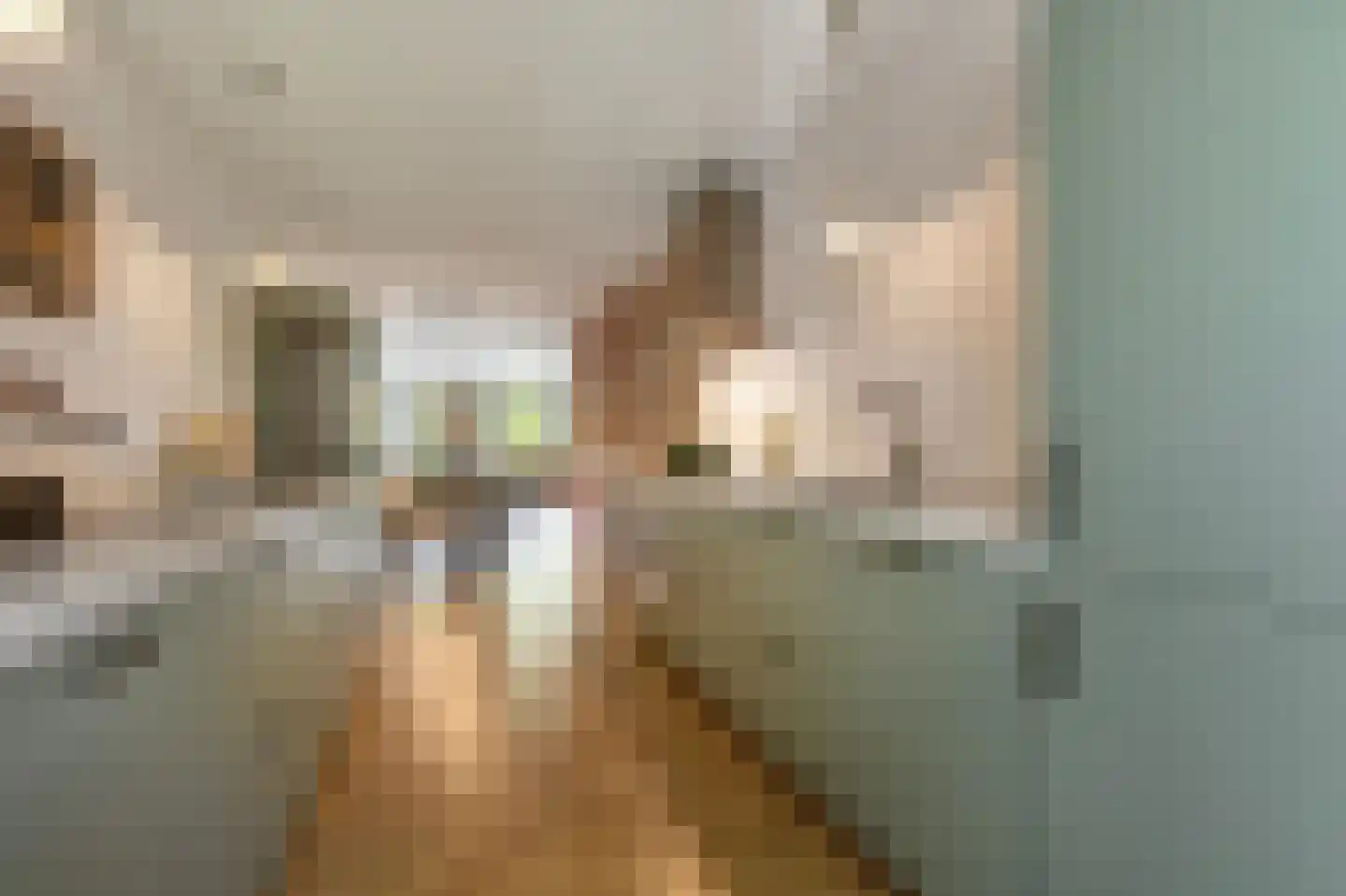 Haardstee 75 Amsterdam thumbnail 5