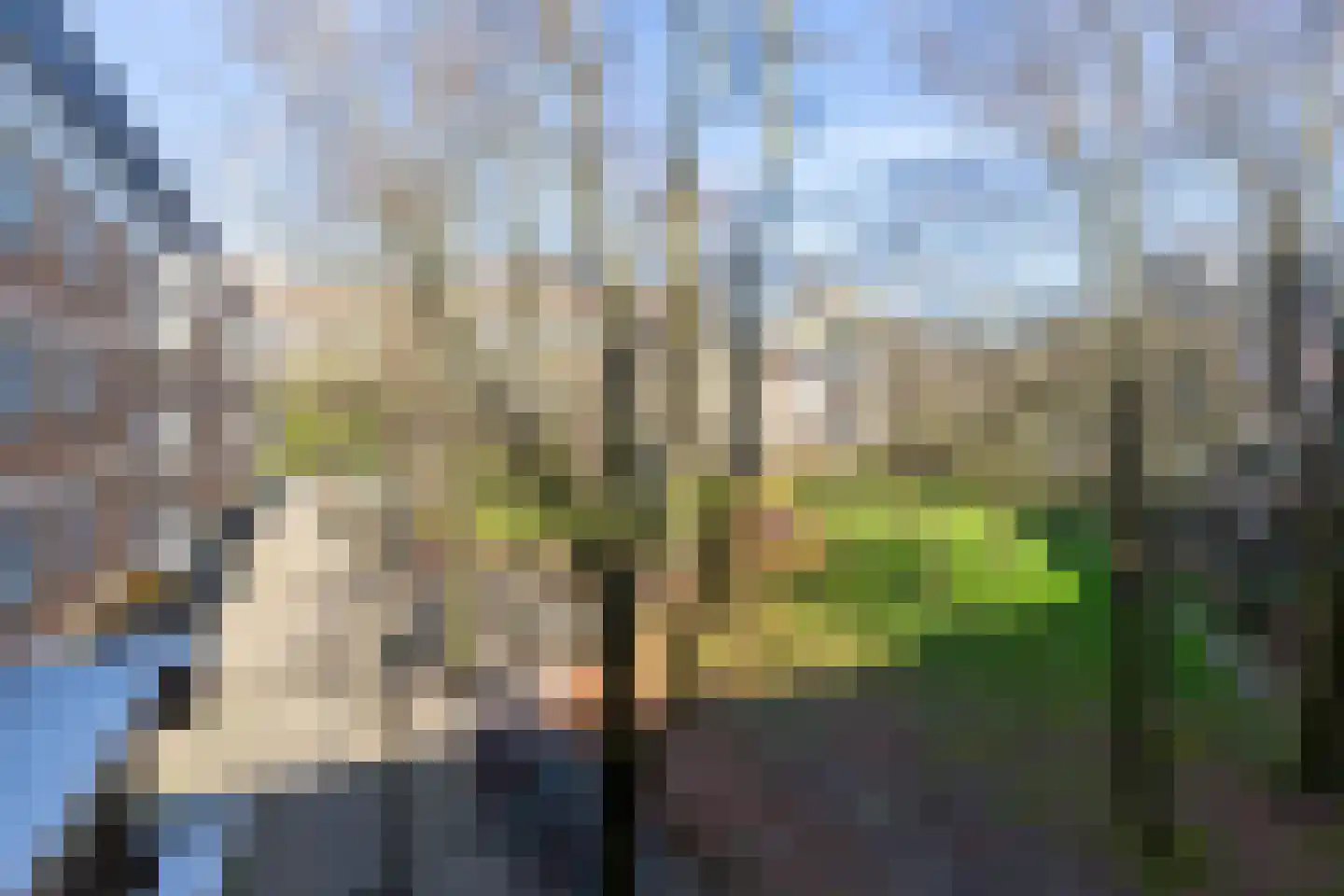 Haardstee 94 Amsterdam thumbnail 34