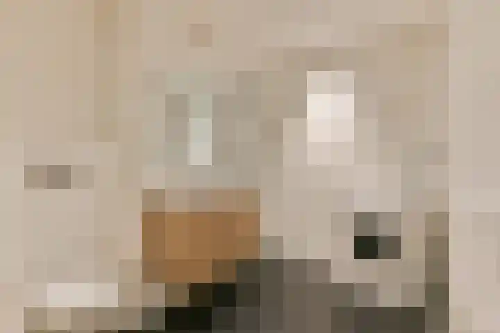 Haardstee 95 Amsterdam thumbnail 13