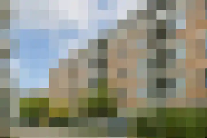 Haardstee 95 Amsterdam thumbnail 19