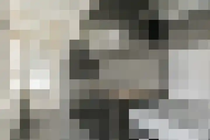 Haardstee 95 Amsterdam thumbnail 6
