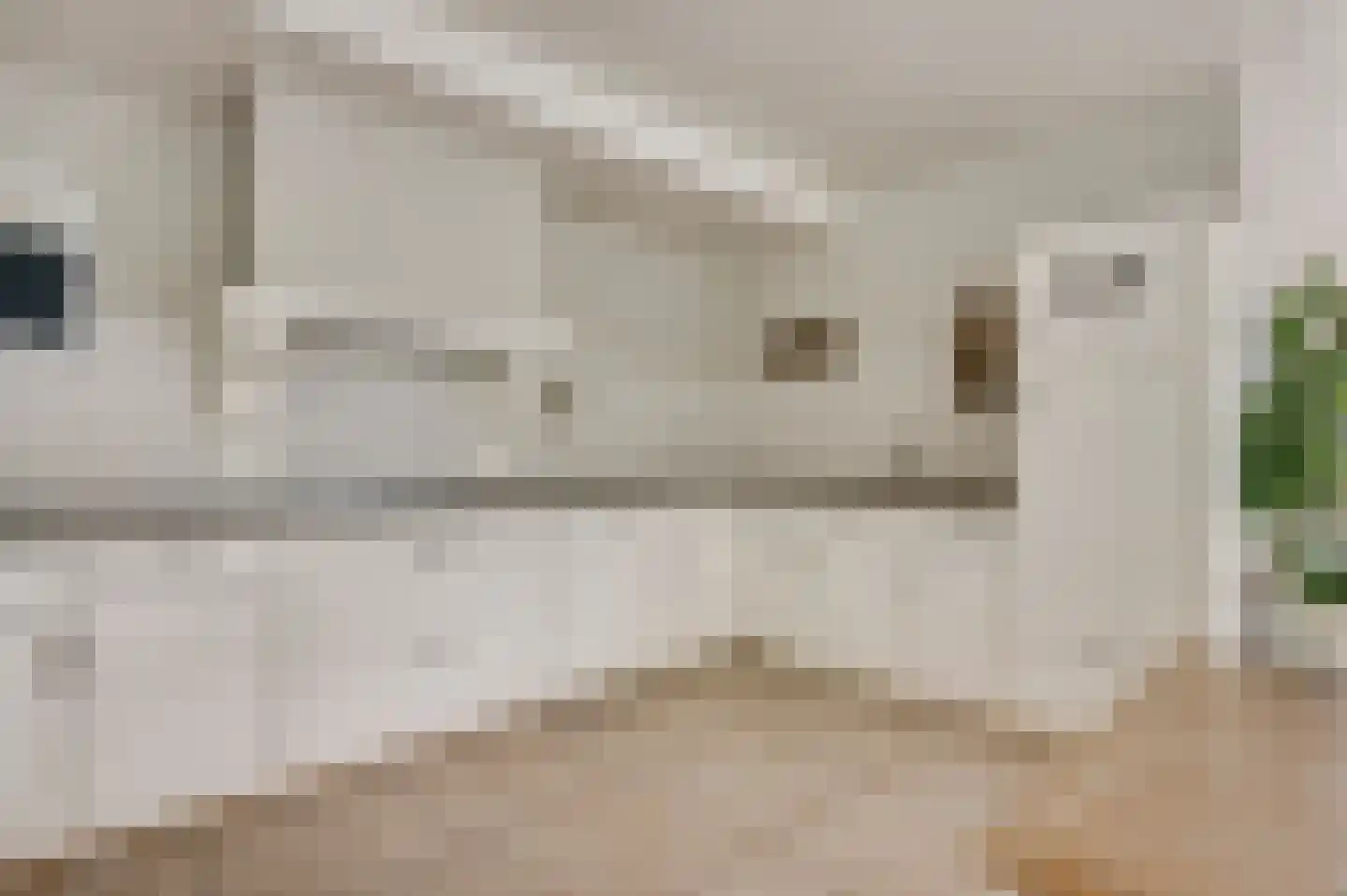 Haardstraat 20 Neeritter thumbnail 14
