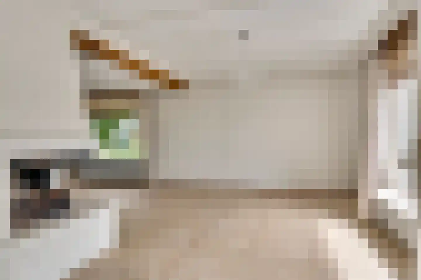 Haardstraat 20 Neeritter thumbnail 9