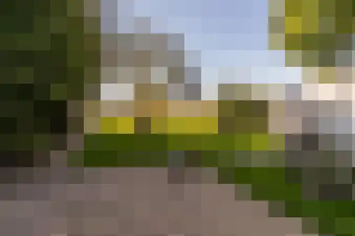 Haarendijk 36 Haaren thumbnail 36