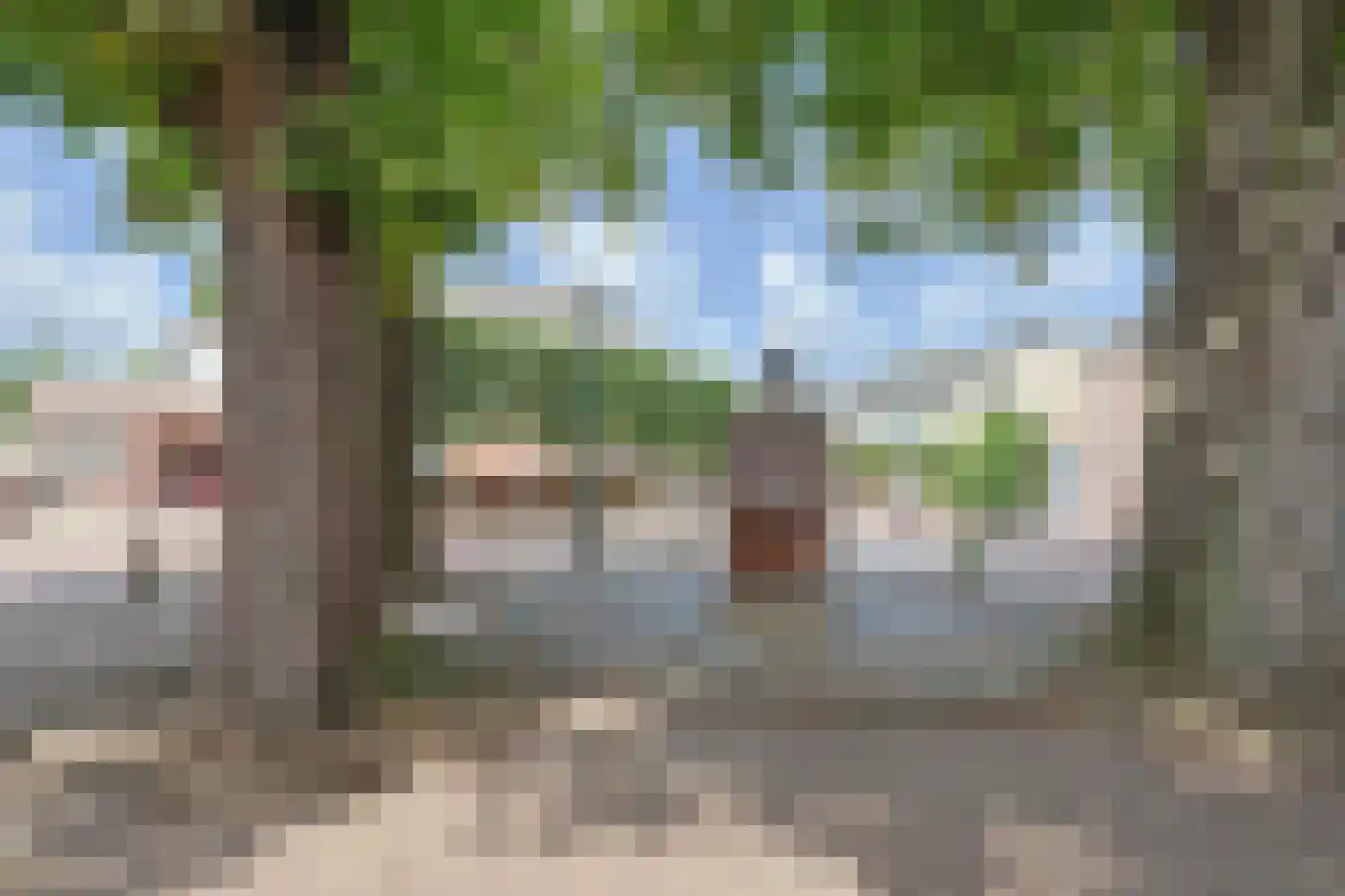 Haarenseweg 1 a Esch thumbnail 29