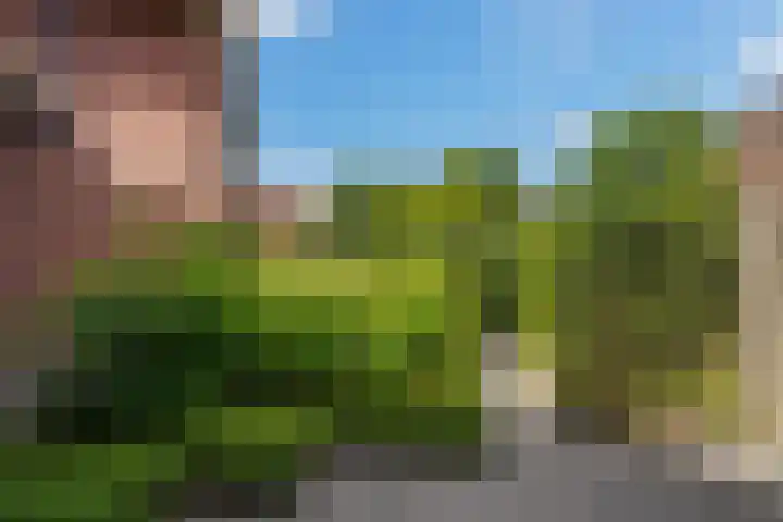 Haarenseweg 15 Oisterwijk thumbnail 52