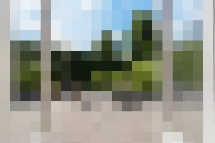 Haarenseweg 15 Oisterwijk thumbnail 54