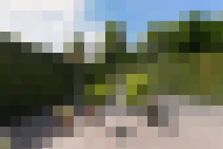 Haarenseweg 15 Oisterwijk thumbnail 55