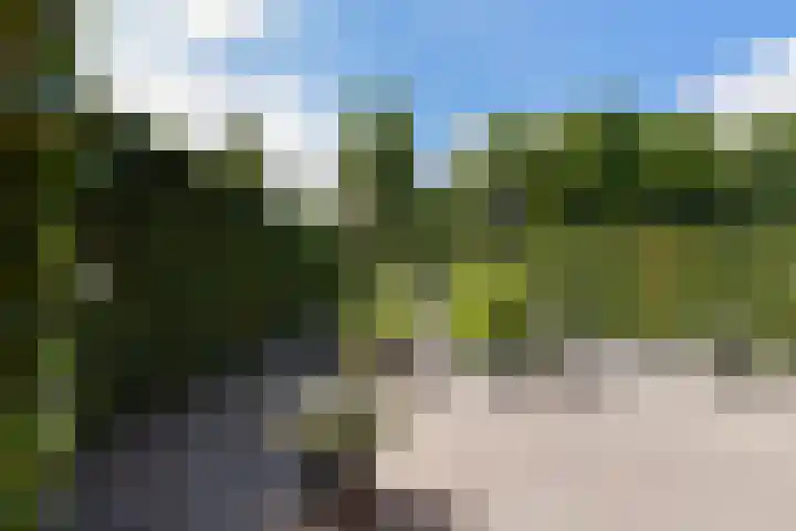 Haarenseweg 15 Oisterwijk thumbnail 56