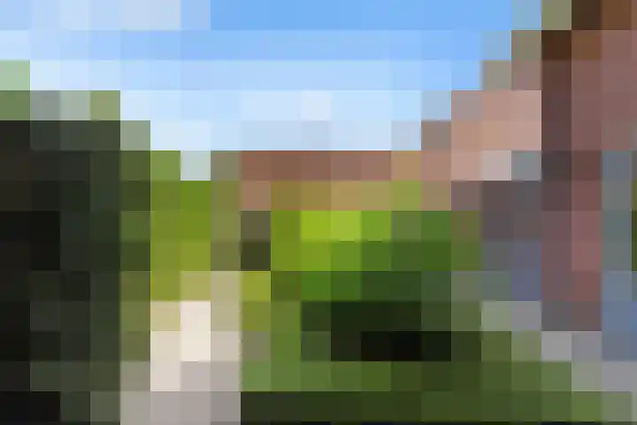 Haarenseweg 15 Oisterwijk thumbnail 57