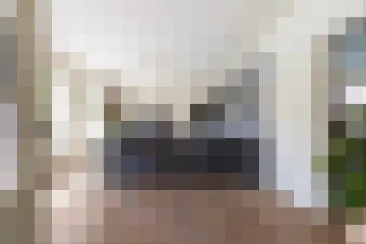 Haarenseweg 15 Oisterwijk thumbnail 6