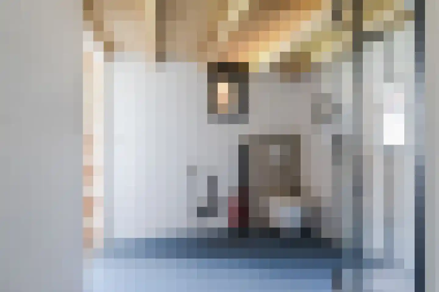 Haarenseweg 18 Oisterwijk thumbnail 36