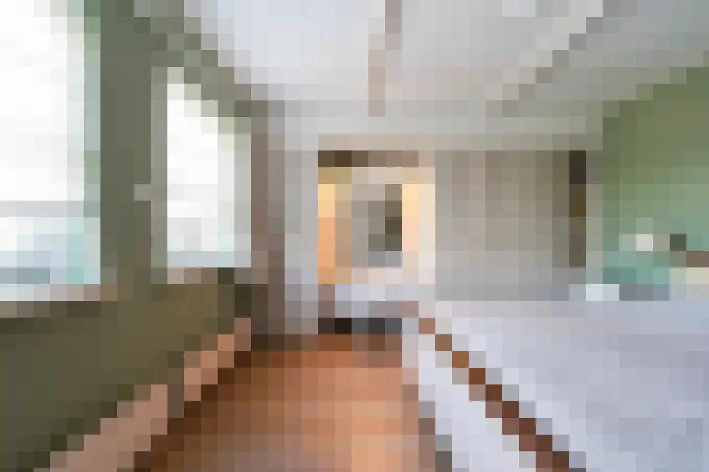 Haarenseweg 2 Esch thumbnail 25