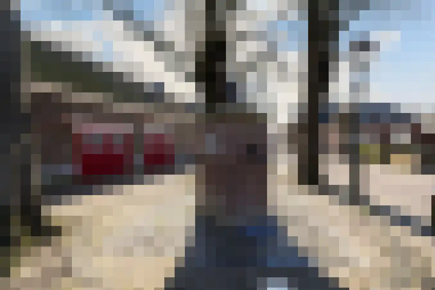 Haarenseweg 2 Esch foto 3