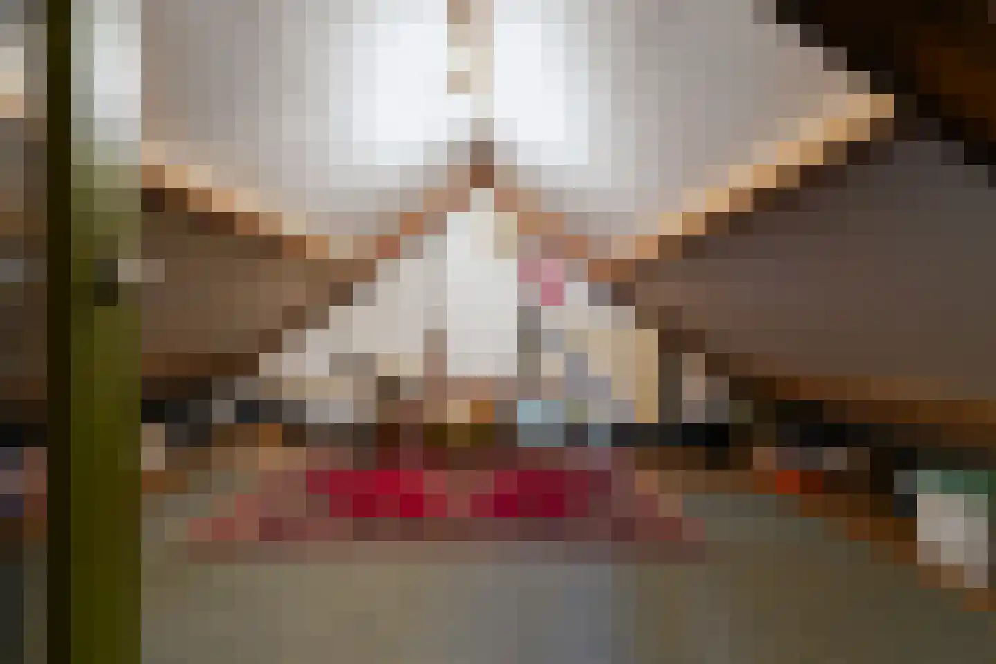 Haarenseweg 2 Esch thumbnail 39