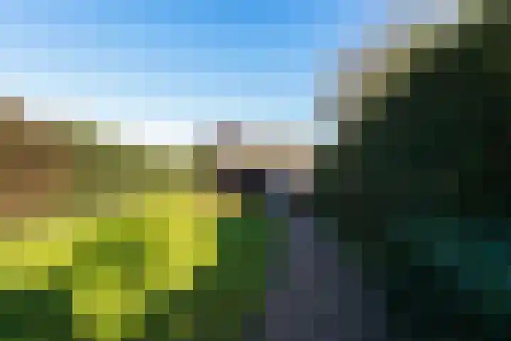 Haarenseweg 2 Esch thumbnail 45