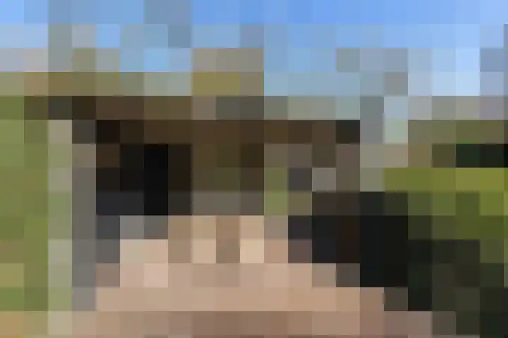 Haarenseweg 2 Esch thumbnail 48