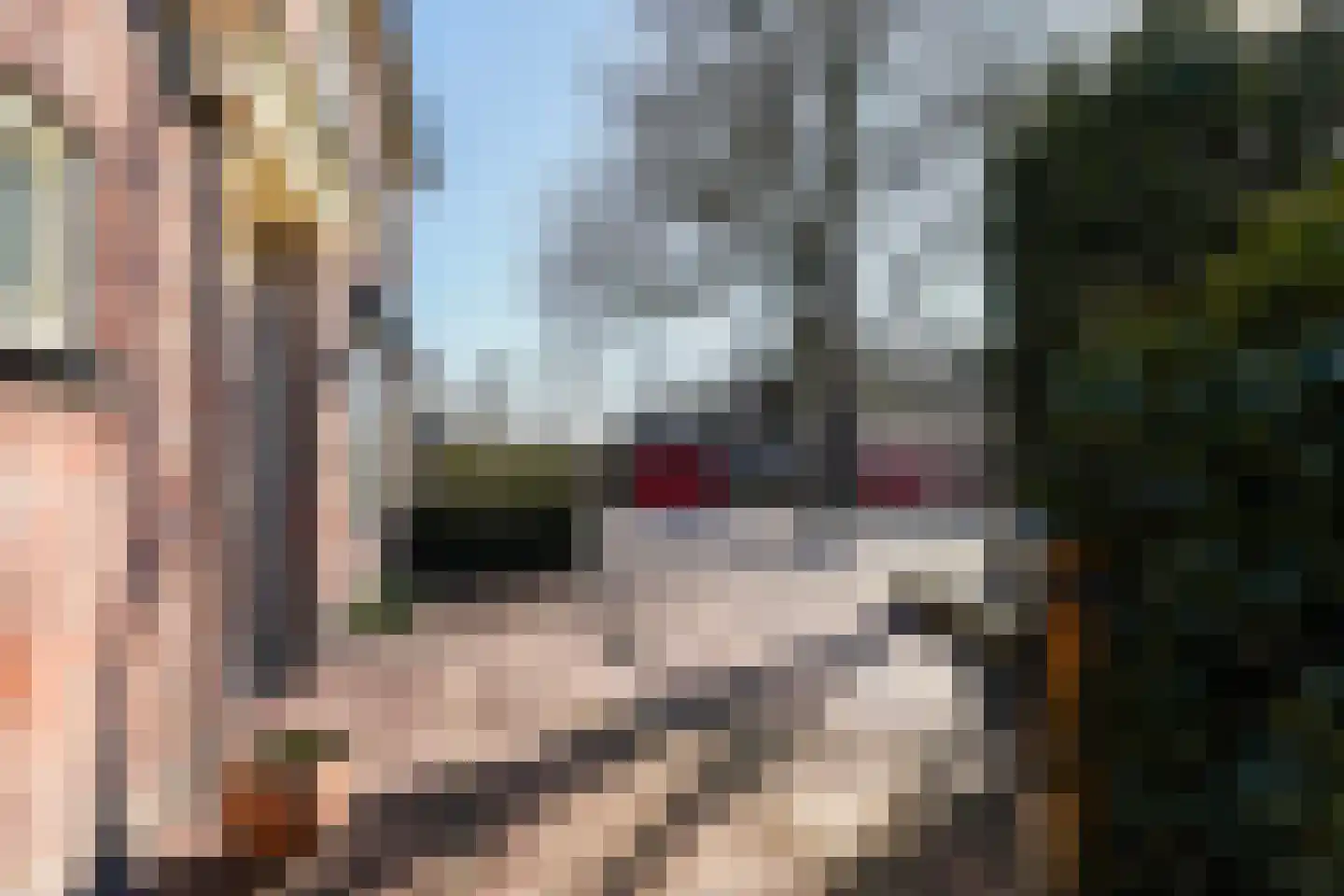 Haarenseweg 2 Esch thumbnail 5