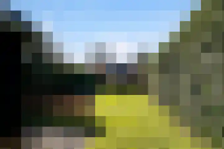 Haarenseweg 2 Esch thumbnail 50