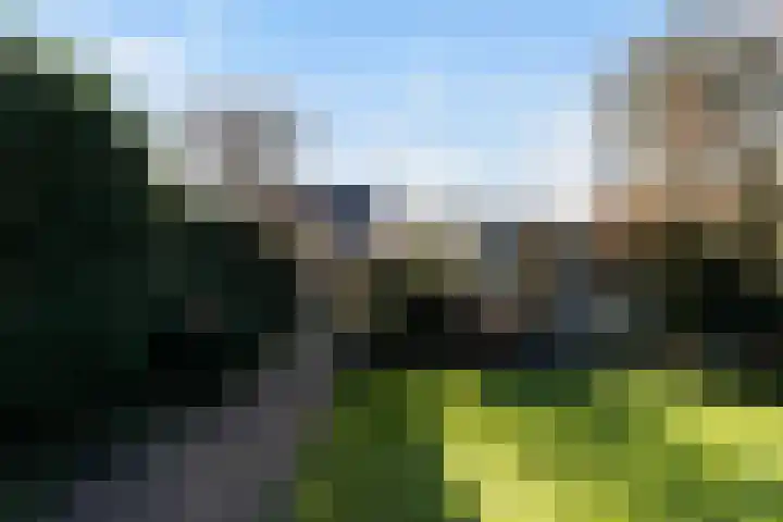 Haarenseweg 2 Esch thumbnail 51