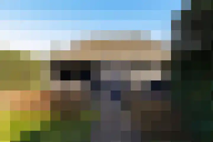 Haarenseweg 2 Esch thumbnail 53