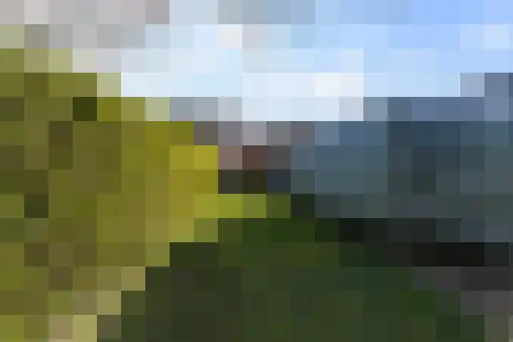 Haarenseweg 2 Esch thumbnail 56