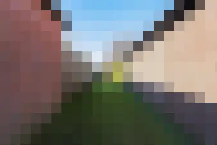 Haarenseweg 2 Esch thumbnail 58