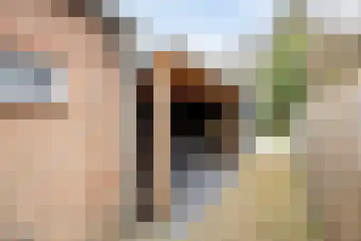 Haarenseweg 25 Oisterwijk thumbnail 34